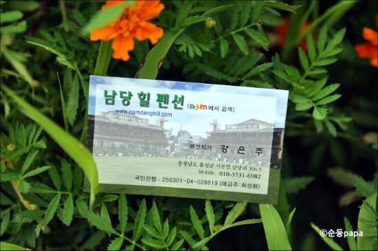 남당힐펜션 이미지