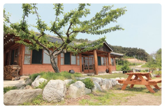 대나무집펜션 이미지