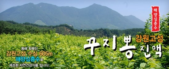 강원생약 이미지