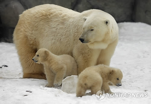 (주)더해빙 이미지