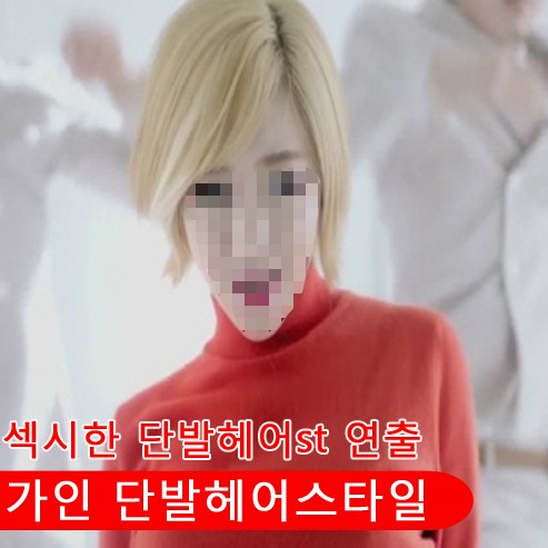 마이헤어샵 이미지