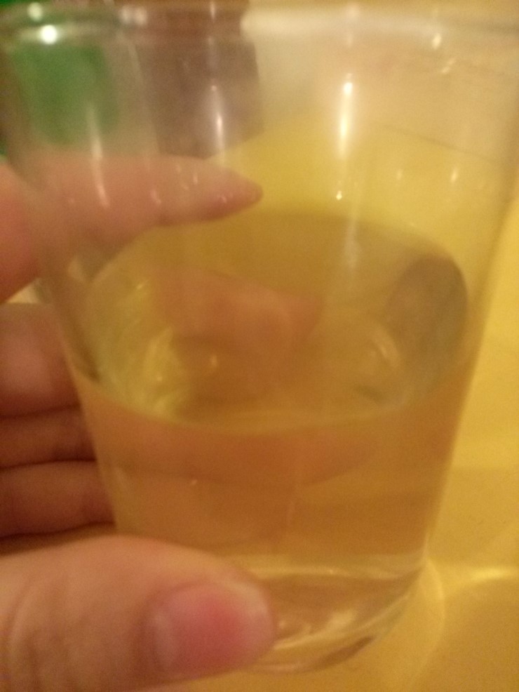 콩자 이미지