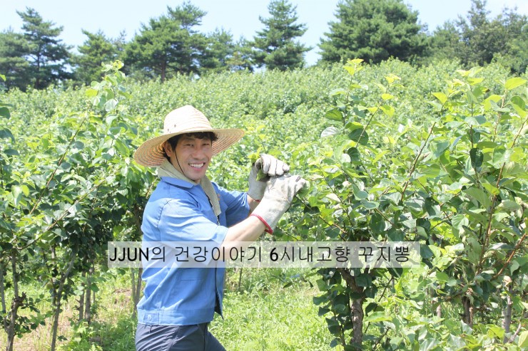 영농조합법인고성꾸지뽕 이미지