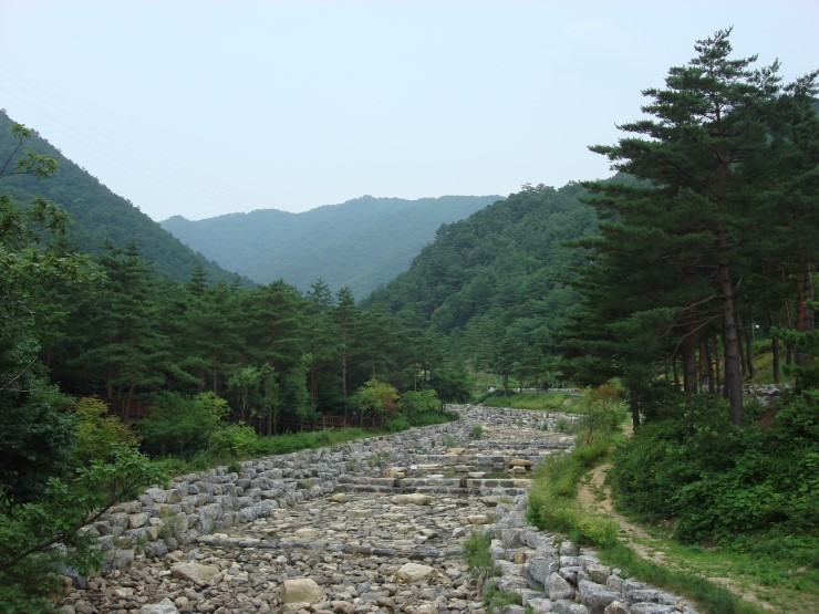 강릉솔향수목원 이미지
