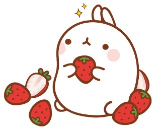 건강마트 이미지