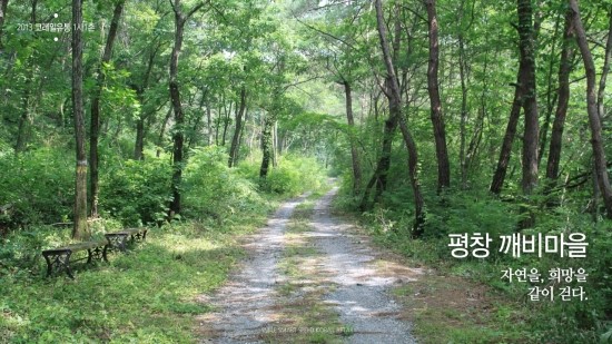 깨비유통 이미지