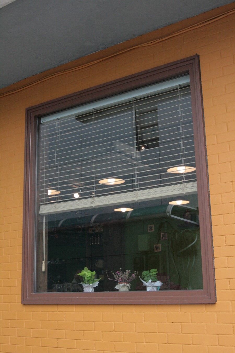 sol cafe 이미지