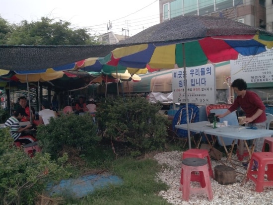 선상활어회 이미지