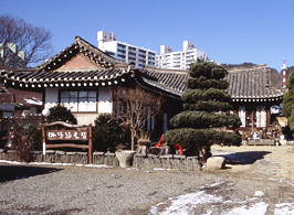 마당 이미지