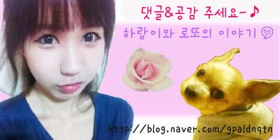 동림관 이미지