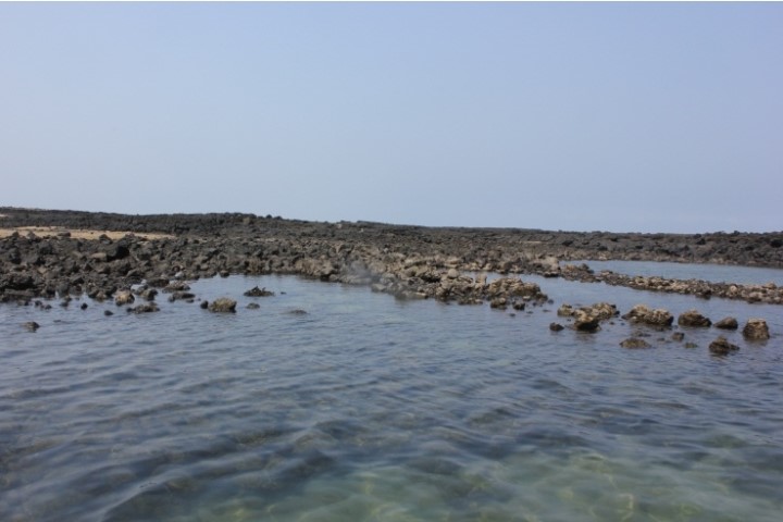 한림PC 이미지