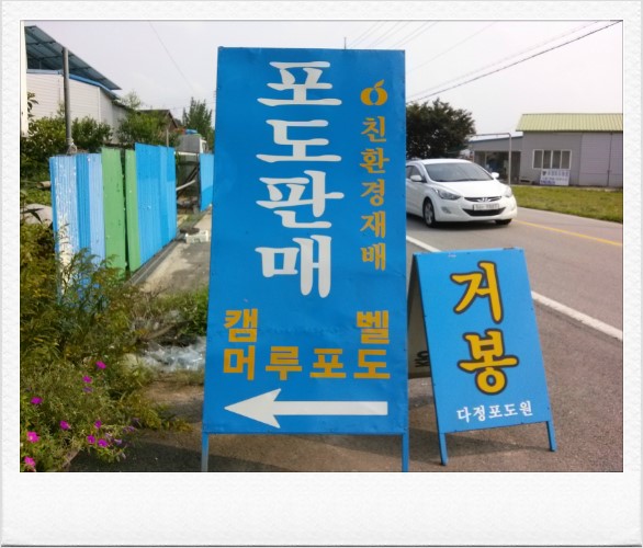 다정포도원 이미지