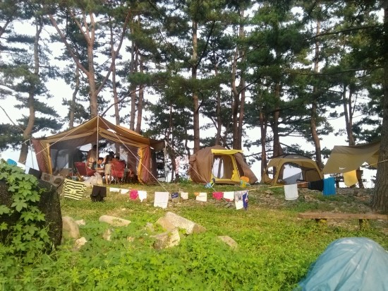 월포해수욕장야영장 이미지