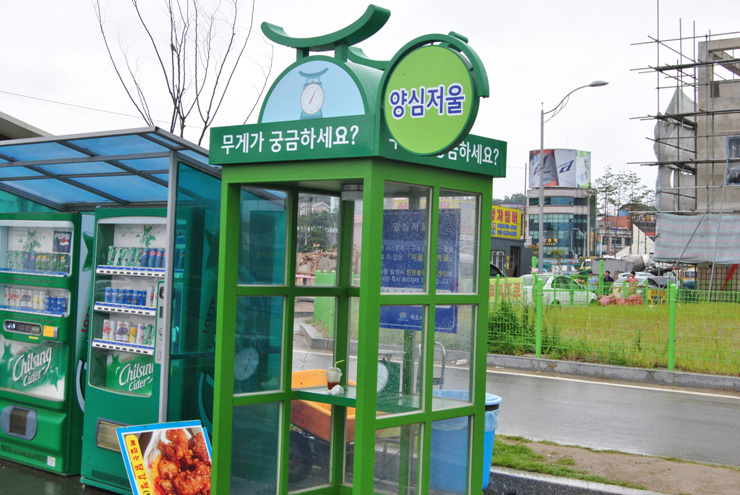 강원도오징어순대 이미지