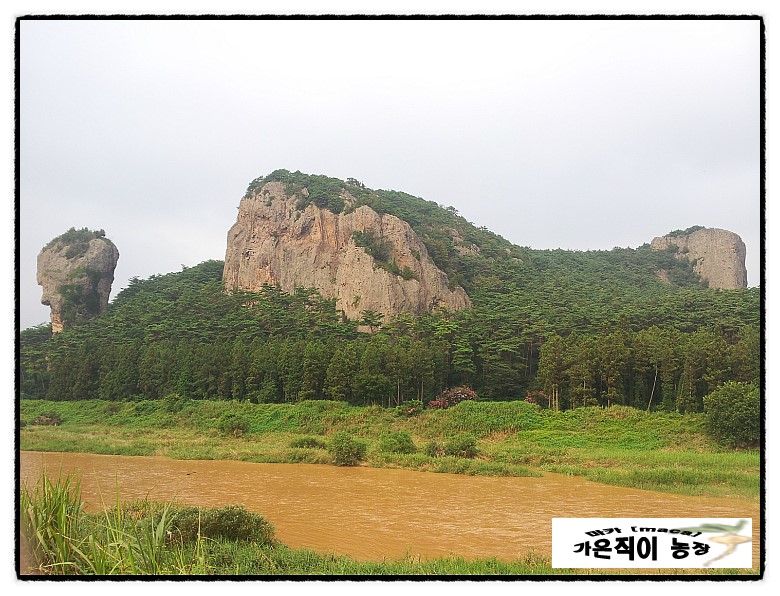 풍전장 이미지