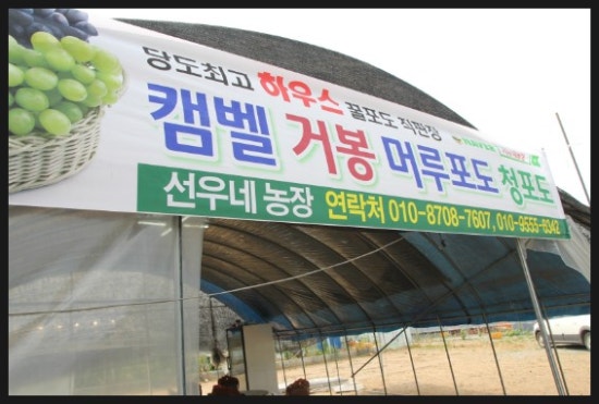 서누네농장 이미지