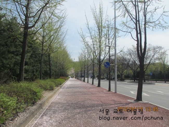팥사랑 이미지
