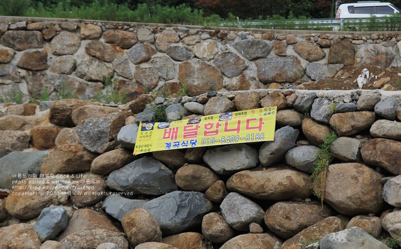 노고지리팬션 이미지