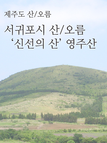 피앤피제주 이미지