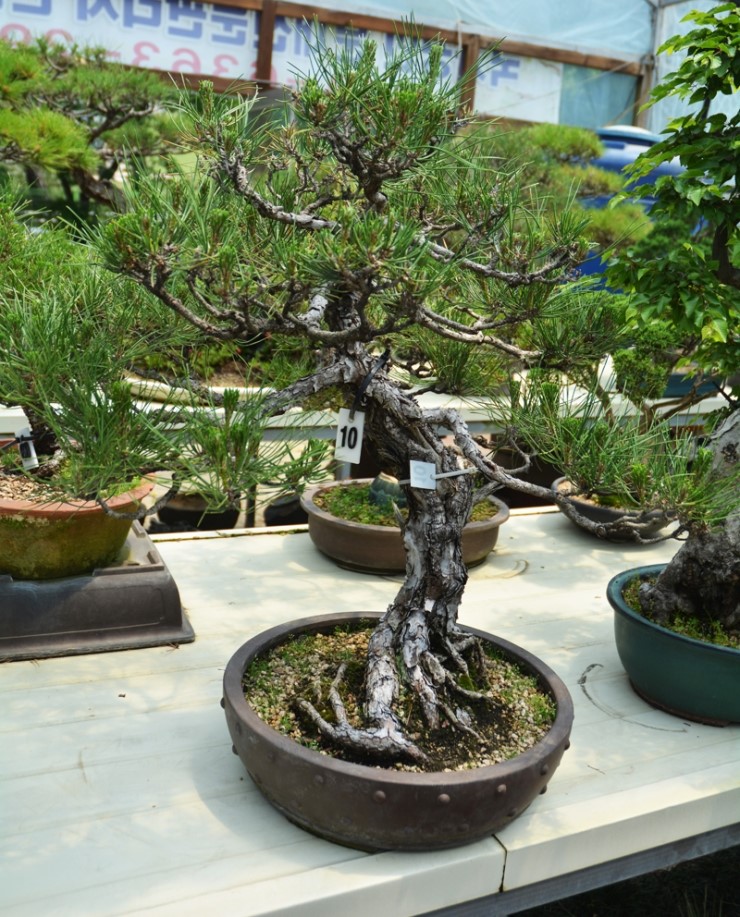 대지개발(주) 이미지