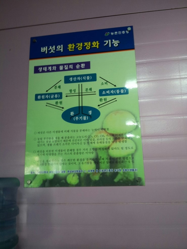 이남주자연아래버섯 이미지