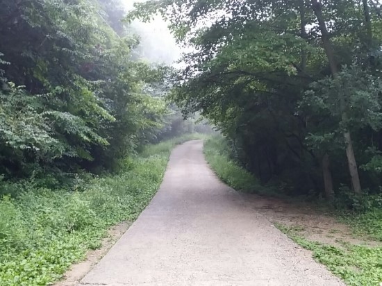 자연양능원 이미지