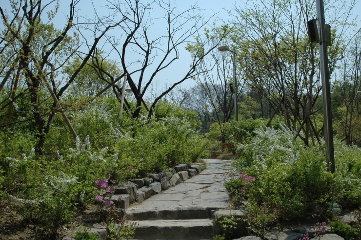 캠핑숲 이미지