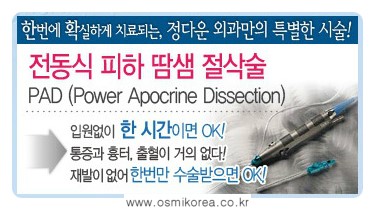 정다운개발 이미지