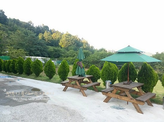 일산오골계참숯불구이 이미지