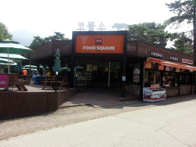 코뿔소식당 이미지
