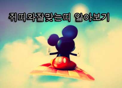 쥐띠성격과 쥐띠와잘맞는띠에 대하여~ : 네이버 블로그