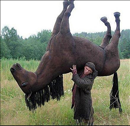 알렉스 이미지