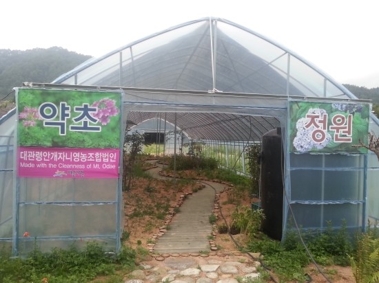 오대산힐링빌리지 이미지