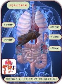 강변향기나무한의원 이미지