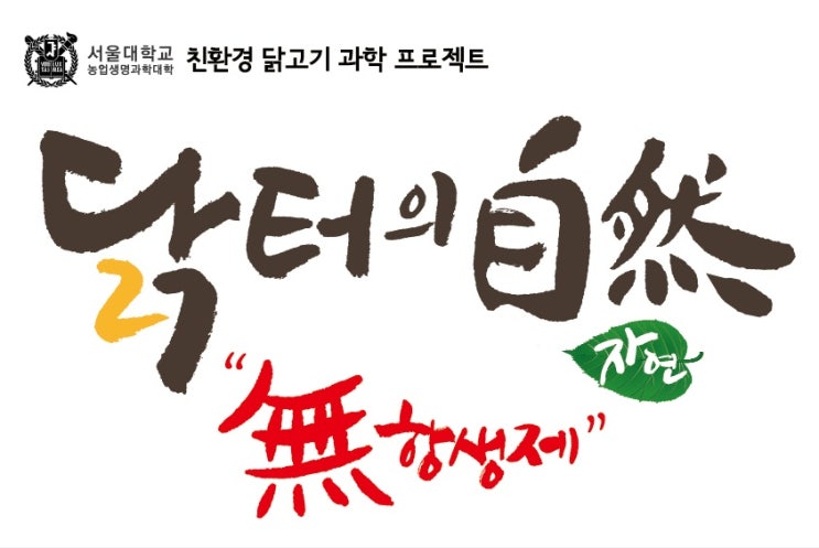 닭터 이미지