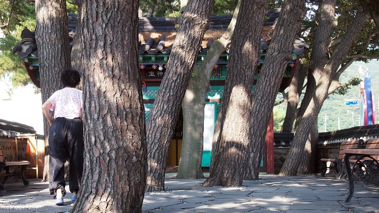 황토굴칼국수 이미지