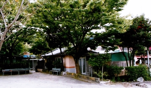 청송오리 이미지