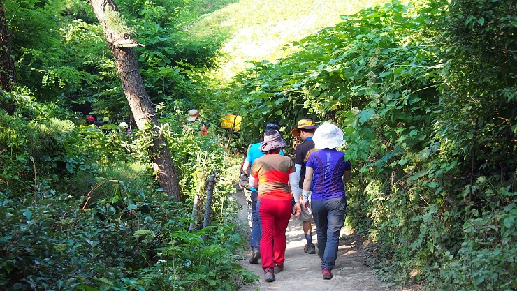 황토굴칼국수 이미지