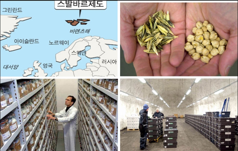 국제금고 이미지