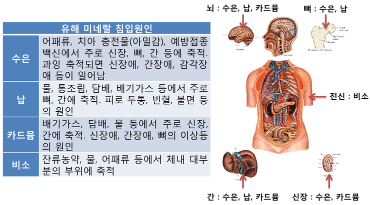 수은중국식품 이미지