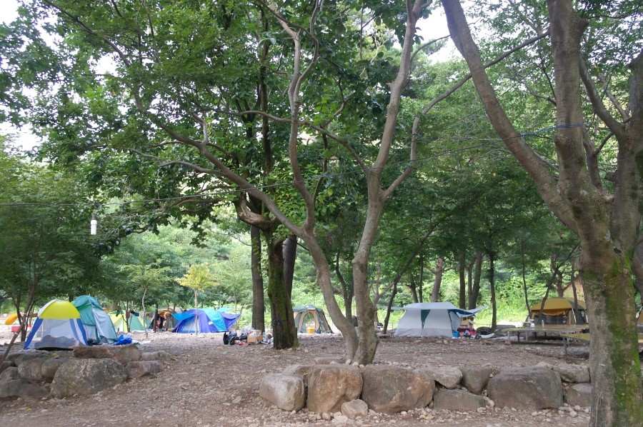 솔밭야영장 이미지
