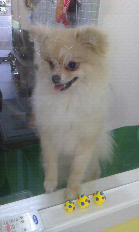 몽이미용실 이미지