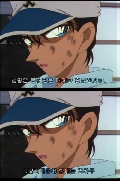 헤이지 이미지
