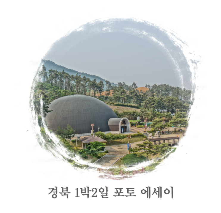 대가야보쌈 이미지