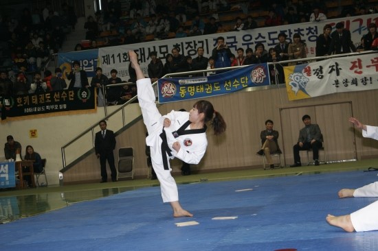 미르메라 이미지