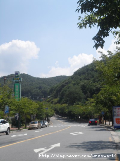 숲속작은민박 이미지