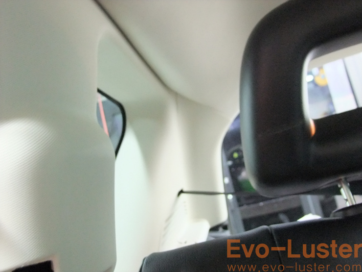 Evo-Luster 이미지