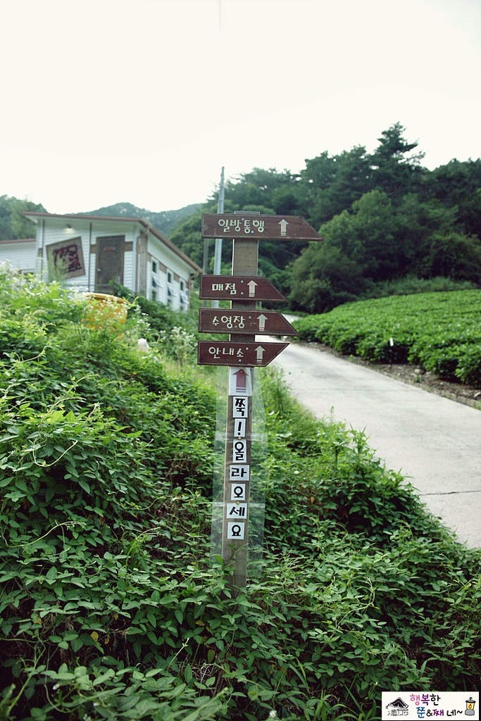 상순네캠핑장 이미지