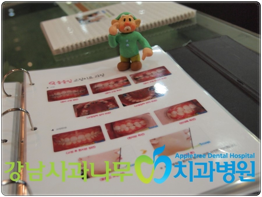 사과나무(주) 이미지
