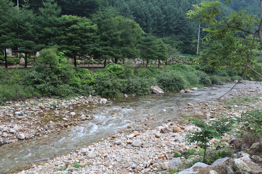 청산 캠프 이미지